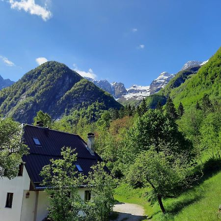 Apartment Pretner, Lepena Soča Εξωτερικό φωτογραφία