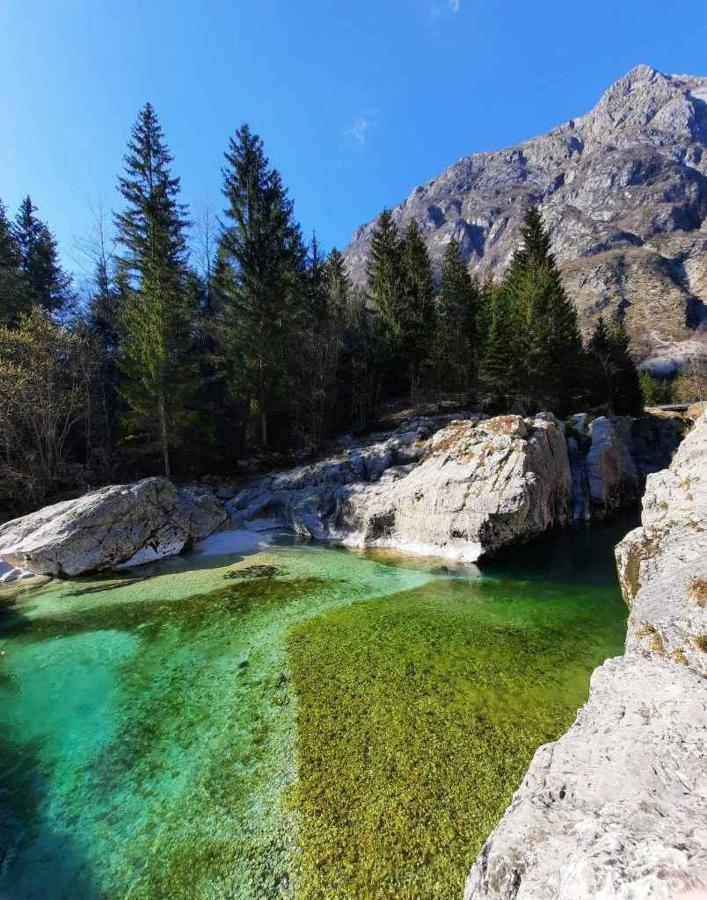 Apartment Pretner, Lepena Soča Εξωτερικό φωτογραφία