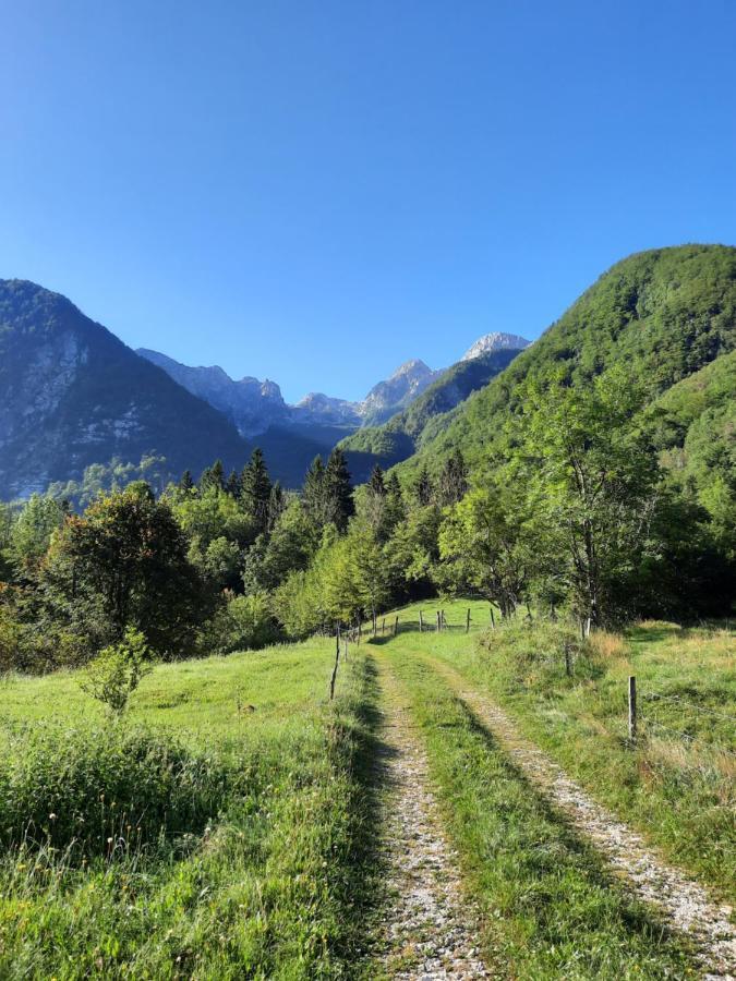 Apartment Pretner, Lepena Soča Εξωτερικό φωτογραφία